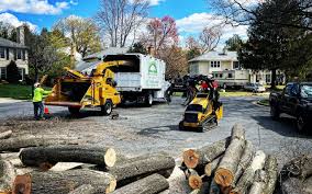 Seasonal Cleanup (Spring/Fall) in Elkland, PA